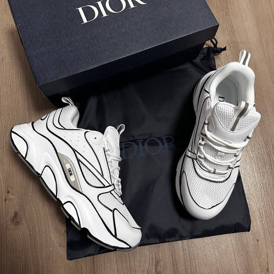 DIOR B22